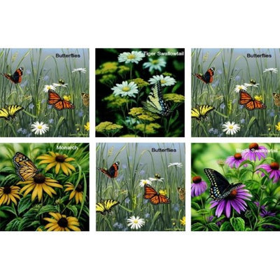 Hi-Look Inc. Rosemary Millette-Hautman Butterflies assorted - Pack of 6