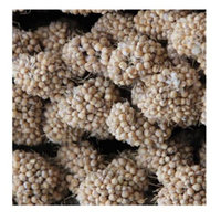 Higgins Group Higgins Golden Brown Spray Millet Bird Treat, 25 Lb