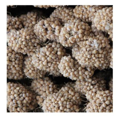 Higgins Group Higgins Golden Brown Spray Millet Bird Treat, 25 Lb