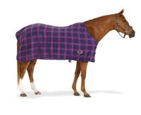 Centaur Plaid 220G Fleece Sheet 60