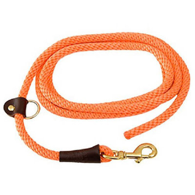 008065 EZ Trainer/Leash, 3/8