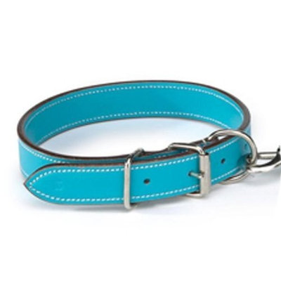 Leather Dog Collar