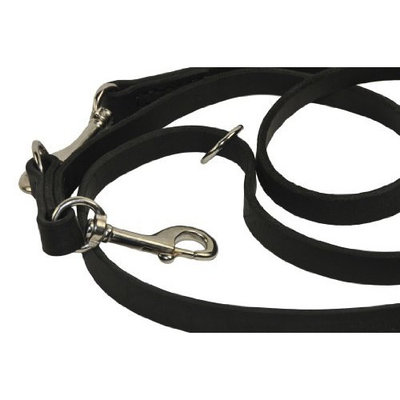 Dean & Tyler Leather Dog Leash