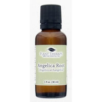 Plant Therapy Angelica Root Essential Oil 30 mL (1 fl. oz.) 100% Pure, Undiluted, Therapeutic Grade