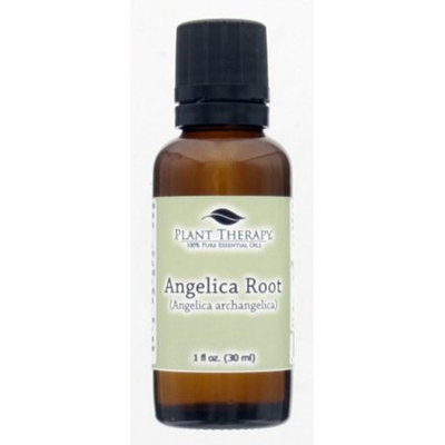 Plant Therapy Angelica Root Essential Oil 30 mL (1 fl. oz.) 100% Pure, Undiluted, Therapeutic Grade