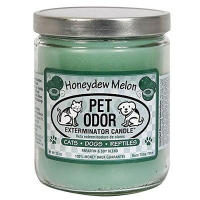 Specialty Pet Products Pet Odor Exterminator Candle, Maui Wowie Mango,13 oz