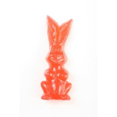 World's Largest Gummy Bunny in Fruity Bubblegum: 1 Count