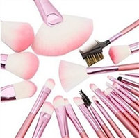 22pcs Professional Cosmetic Makeup Brush Set with Pink Bag Pink