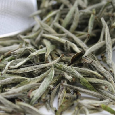 Tealyra - Silver Needle - Bai Hao Yin Zhen - White Loose Leaf Tea - Premium Chinese Tea - Caffeine Level Low - High in Antioxidants - 1.6-ounce (43g)