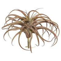 Artificial Tillandsia Pick (10.5