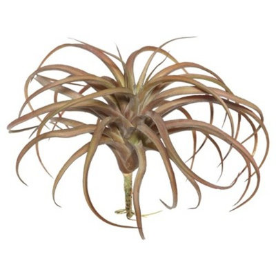 Artificial Tillandsia Pick (10.5