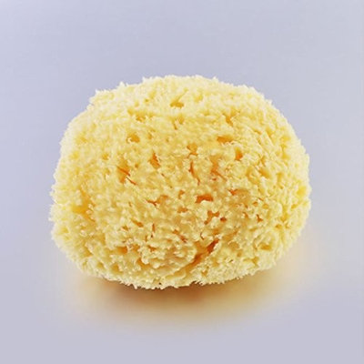 Natural Sponge, 2.6 to 3.2 Inch Aegean Sea Sponge, Silk Sponge