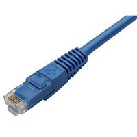 Black Box EVNSL641-0002 Gigatrue Cat6 Channel 550-Mhz Patch Cabl