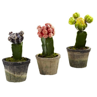 nearly natural 3-piece Colorful Cactus Set