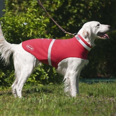 Corky's Reflective & Weatherproof Dog Jacket