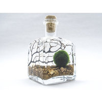 Aquatic Arts Marimo Aquarium Kit