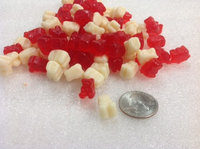 Beulah's Candyland Gummi Polar Bear Cubs Peppermint gummi bears mini gummy bears 2 pounds