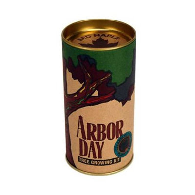 Jonsteen Company Red Maple Arbor Day Tree Kit- Grow Maple Trees from Seeds
