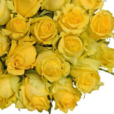 Fresh Cut Yellow Roses, 20