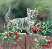 Hi-Look Inc. Susan Bourdet Cats & Flowers assorted