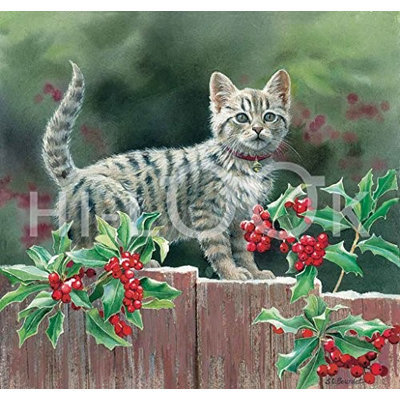 Hi-Look Inc. Susan Bourdet Cats & Flowers assorted