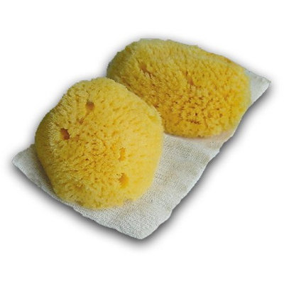 Classic Sea Pearls Reusable Sea Sponges - 2 Large Size