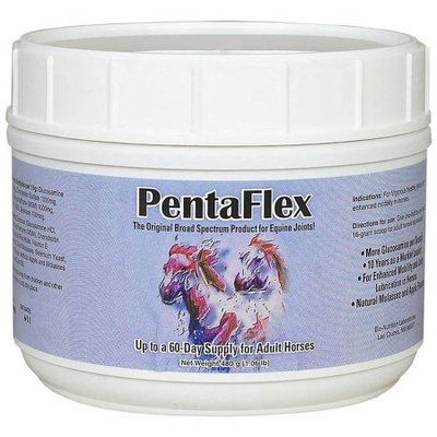 BioNutrition PentaFlex (480 gm)
