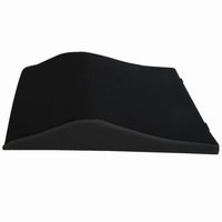 Roscoe Medical Foam Back Cushion with Lumbar Support, 18 x 17