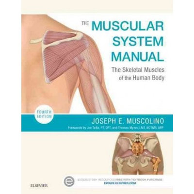 The Muscular System Manual: The Skeletal Muscles of the Human Body