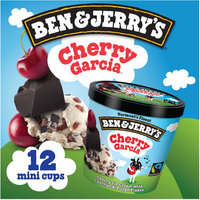 Ben & Jerry's Ice Cream Cups, 3.6 oz (Pack of 12), Variety of Flavors Available