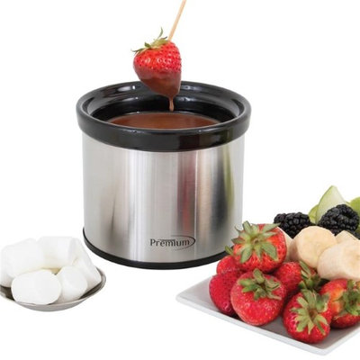 Premium 0.6 QT Party Mini Dipper