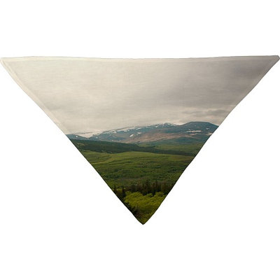 DENY Designs Catherine Mcdonald Pet Bandana Mountain Green - Wild Montana - DENY Designs Pet Bags