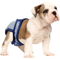 Zorbipad Zpme01 Zorbipant Reusable Diaper Garment Medium