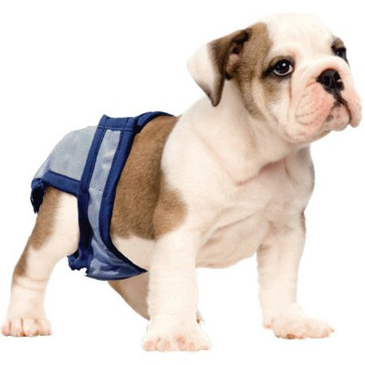 Zorbipad Zpme01 Zorbipant Reusable Diaper Garment Medium