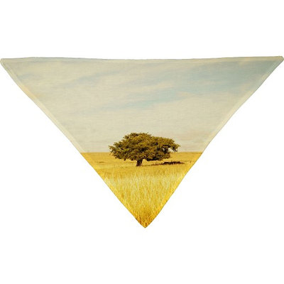 DENY Designs Barbara Sherman Pet Bandana Golden Yellow - Solitary - DENY Designs Pet Bags