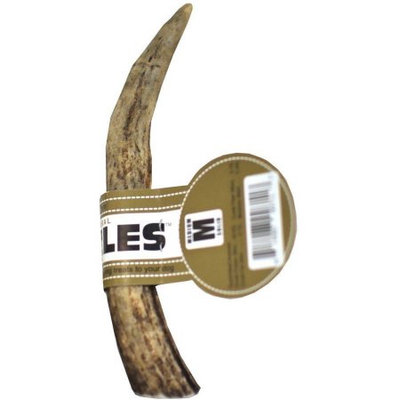 Spizzles; Elk Antler Dog Chew - Solid (Medium)