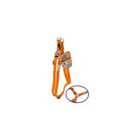 GoGo Pet Harness Comfy Nylon 5/8-Inch Adjustable X 16” – 24” inches, Small,