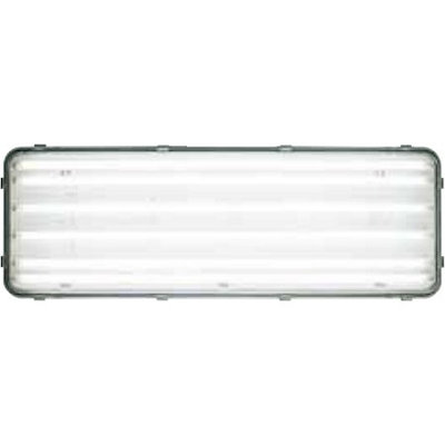 J & D Manufacturing J;D Manufacturing- LEDB-6-24NL Rotating T8 LED Lighting with Night Light, Frosted 4100*K Tubes with Clear Lens,2x 4', 6 LED Tubes, 110-277 Volts, .98/.16 Amps