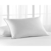 live comfortably Pack of 2 Platinum Memory Fiber Pillows, King, Foam Essence Memory Fiber