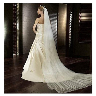 Soft Tulle Wedding Veil for Bride Lady 2 Layers 3 Meters Long Cathedral Chapel Floor Veils Embroidered Lace Trim Hair Side Comb (Ivory)