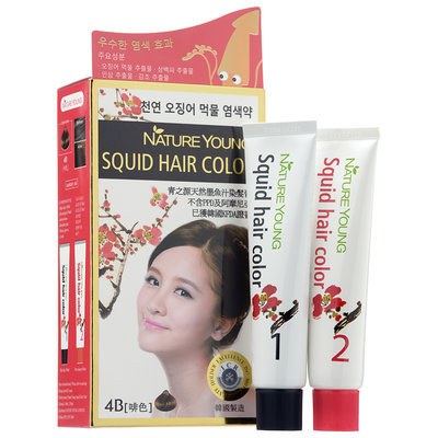 Nature Young - Squid Hair Color #4B Brown 1 set