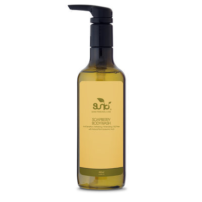 Sunki - Soapberry Body Wash with Hyaluronic Acid 480ml