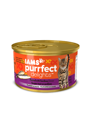 iams canned kitten food