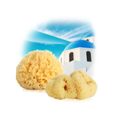 Tosowoong Natural Sponge (Honey Comb) 1pc