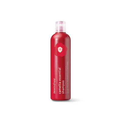 Innisfree - Camellia Essential Shampoo 300ml 300ml