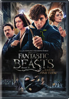 Fantastic Beasts And Where To Find Them (dvd)