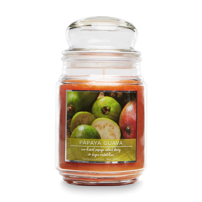 Mvp Group International Inc. 18-Ounce Papaya Guava Scented Jar Candle