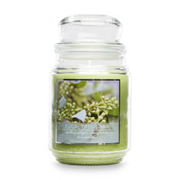 Mvp Group International Inc. 18 oz. Premium Candle - Eucalyptus Spa