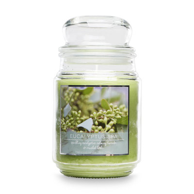Mvp Group International Inc. 18 oz. Premium Candle - Eucalyptus Spa