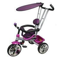 Monumental Recordings Millennium Baby Trike with Push Bar and Flat Canopy - Purple
